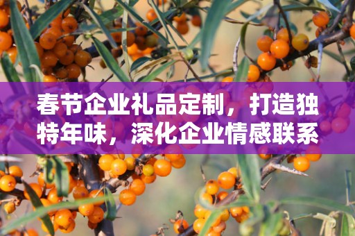 春节企业礼品定制，打造独特年味，深化企业情感联系