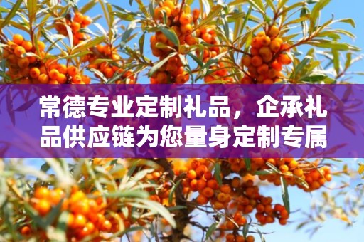 常德专业定制礼品，企承礼品供应链为您量身定制专属礼品
